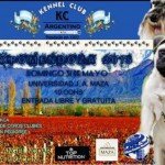Imagen destacada del artículo «Exposicion en Ciudad de Mendoza»